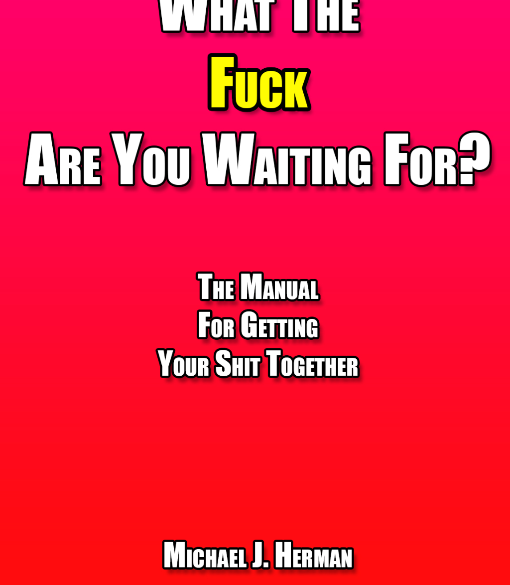 Main Image Supporting the Content of What The Fuck Are You Waiting For? The Manual For Getting Your Shit Together